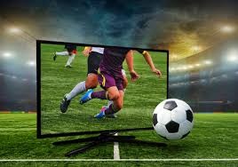 樊振东勇夺新年首冠！德国杯一夜连赢4场，出国打球首次带队登顶